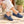 Mocassin MR06