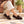 Mocassin MR06